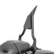 Sissy Bar fits for Harley Davidson Touring 09-24 passenger backrest Craftride PV2