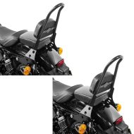 2x Sissy Bar Abnehmbar CSM für Harley-Davidson Sportster 04-20 schwarz Craftride Spar-Set_1