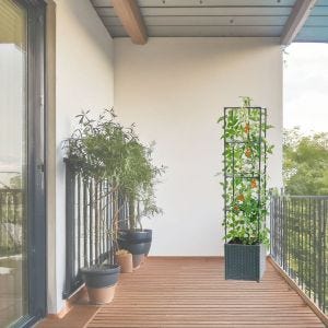 Pflanzsäule PS3 Pflanztopf für Kletterpflanzen Pflanzkäfig DPL2
