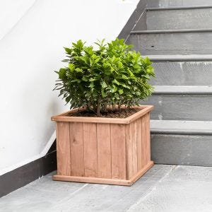 Pflanzkübel Holz 38x38cm PK02 Blumenkübel Outdoor DPL4