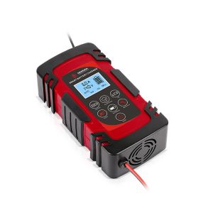 Batterie Ladegerät für BMW R 1250 R / RS / RT Zaddox ZX-4 Lumitecs BC3_1