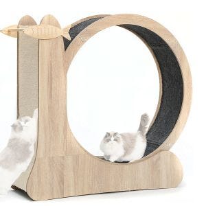 Cat exercise wheel / scratching function Divit LK3 cat exercise wheel made of wood
