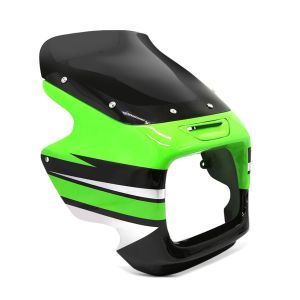 Lampenmaske für Kawasaki ZRX 1200 R 01-07 Lichtmaske mit Windschild Zaddox_1